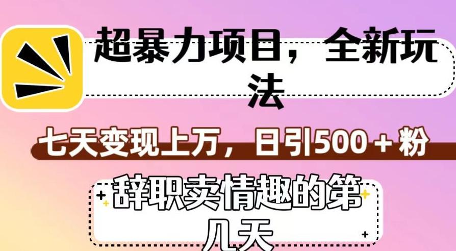 超暴利项目，全新玩法（辞职卖情趣的第几天），七天变现上万，日引500+粉【揭秘】-极速轻创