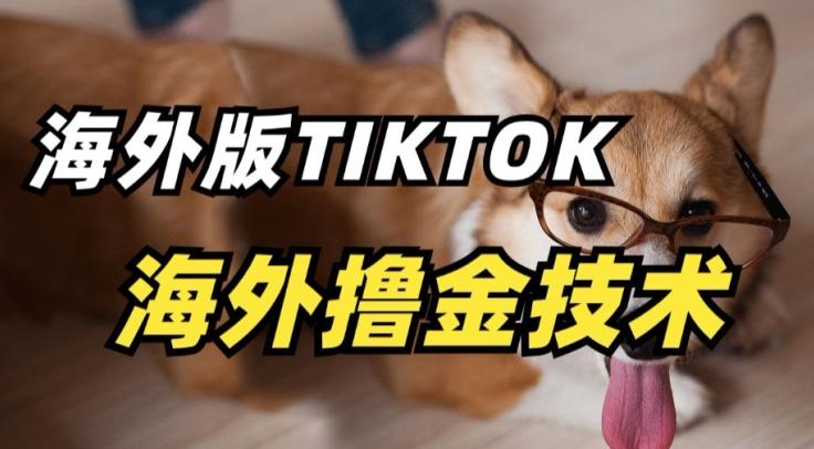 抖音海外版tiktok撸金技术，这个风口行业，赚钱真的不难【揭秘】-极速轻创