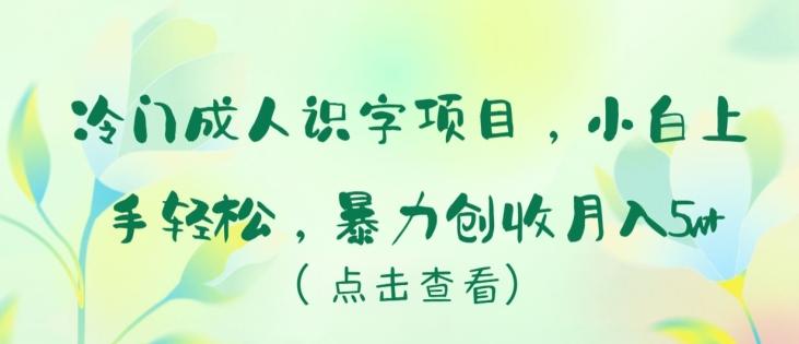 冷门成人识字项目，小白上手轻松，暴力创收月入5w+【揭秘】-极速轻创