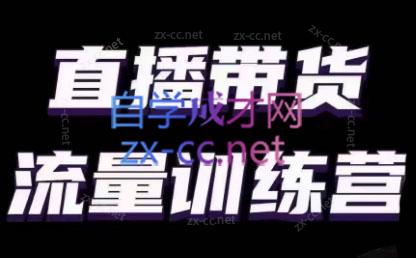 婉婉·直播带货课程系列合集(更新8月)-极速轻创