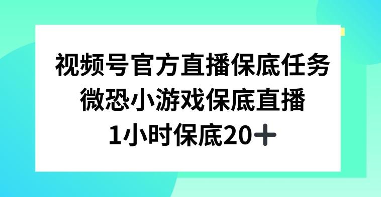 视频号直播任务，微恐小游戏，1小时20+【揭秘】-极速轻创