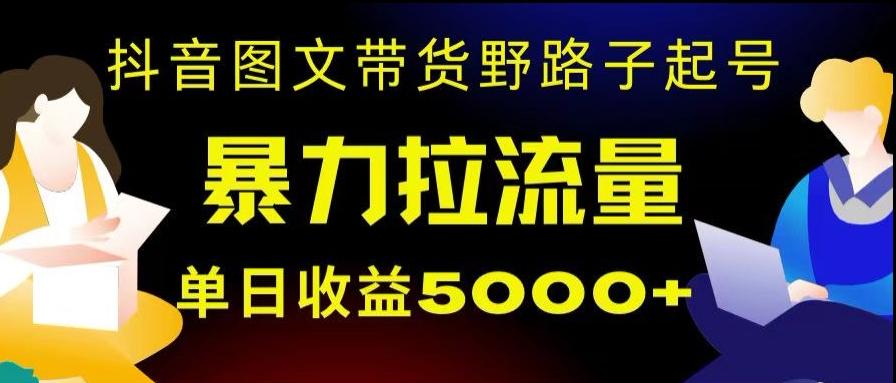 抖音图文带货暴力起号，单日收益5000+，野路子玩法，简单易上手，一部手机即可【揭秘】-极速轻创