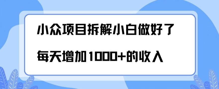 小众项目拆解，小白做好了每天可增加1000多的收入-极速轻创