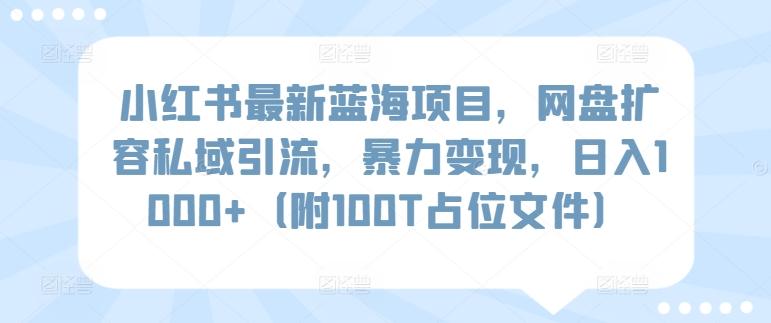 小红书最新蓝海项目，网盘扩容私域引流，暴力变现，日入1000+(附100T占位文件)【揭秘】-极速轻创