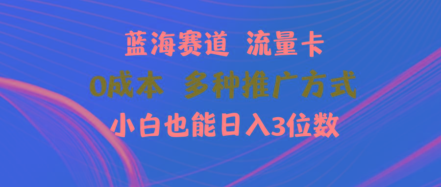 蓝海赛道 流量卡 0成本 小白也能日入三位数-极速轻创