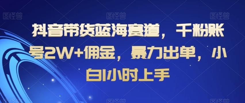 抖音带货蓝海赛道，千粉账号2W+佣金，暴力出单，小白1小时上手【揭秘】-极速轻创