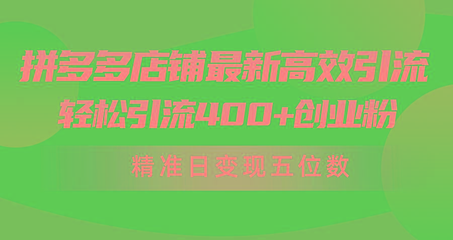 (10041期)拼多多店铺最新高效引流术，轻松引流400+创业粉，精准日变现五位数！-极速轻创
