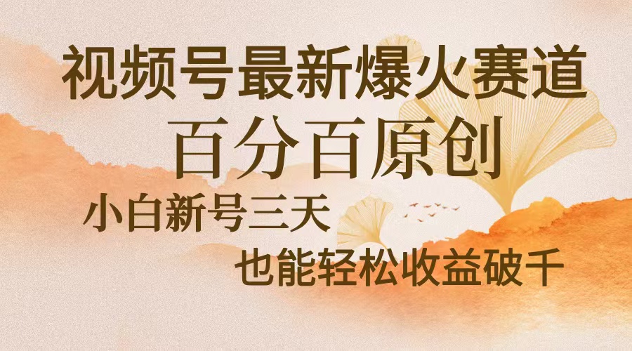 视频号最新爆火赛道，中老年粉深信不疑，百分百原创，新号三天收益轻松…-极速轻创