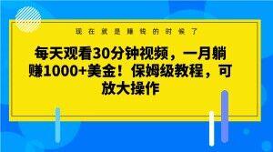每天观看30分钟视频，一月躺赚1000+美金！保姆级教程，可放大操作【揭秘】-极速轻创