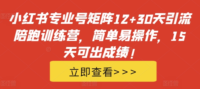 小红书专业号矩阵12+30天引流陪跑训练营，简单易操作，15天可出成绩!-极速轻创