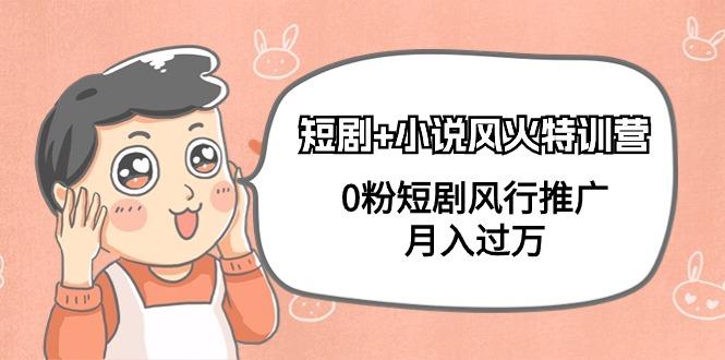 (9374期)短剧+小说风火特训营，0粉短剧风行推广，月入过万(102节课)-极速轻创