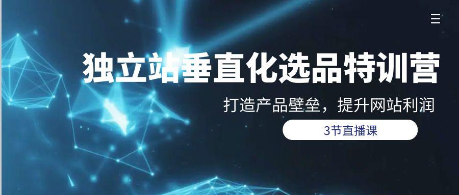 (9925期)独立站-垂直化选品训练营，打造产品壁垒，提升网站利润(3节直播课)-极速轻创
