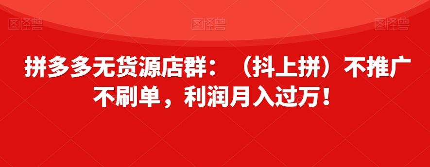 拼多多无货源店群：（抖上拼）不推广不刷单，利润月入过万！【揭秘】-极速轻创