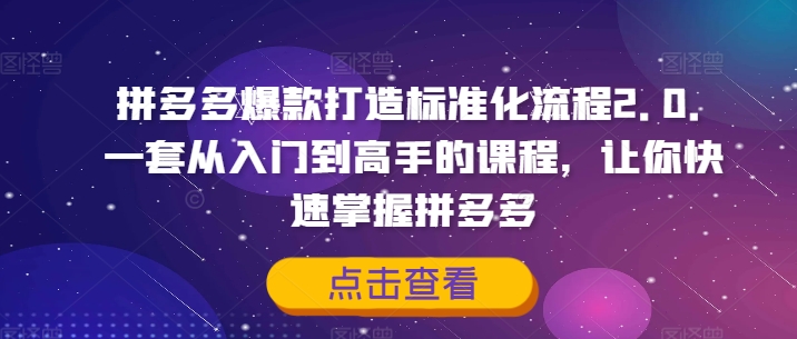 拼多多爆款打造标准化流程2.0，一套从入门到高手的课程，让你快速掌握拼多多-极速轻创