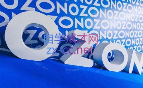 森哥·出海俄罗斯电商实操(2024)-极速轻创