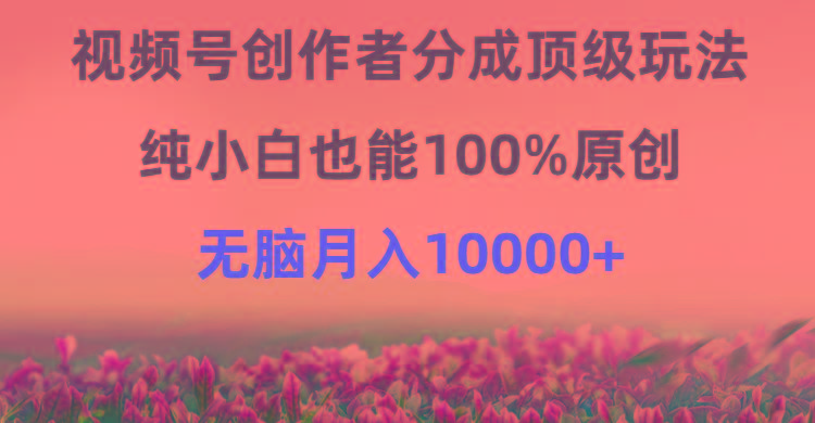 (9608期)视频号创作者分成顶级玩法，纯小白也能100%原创，无脑月入10000+-极速轻创