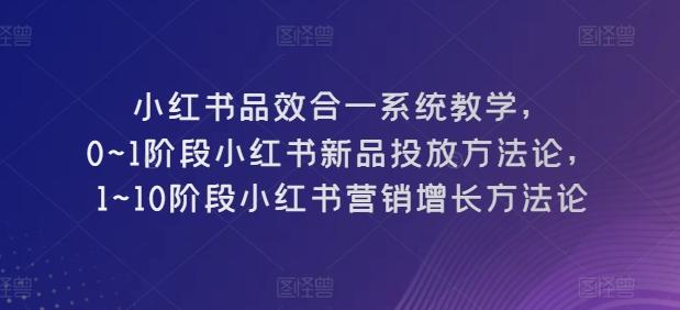 小红书品效合一系统教学，​0~1阶段小红书新品投放方法论，​1~10阶段小红书营销增长方法论-极速轻创