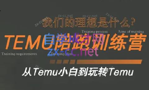 苗苗·拼多多跨境（temu）课程-极速轻创