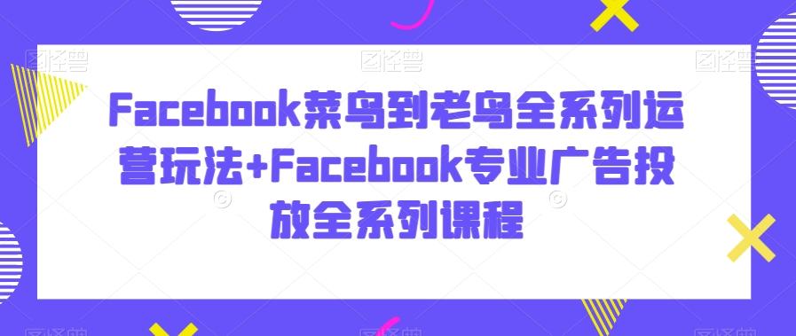 Facebook菜鸟到老鸟全系列运营玩法+Facebook专业广告投放全系列课程-极速轻创
