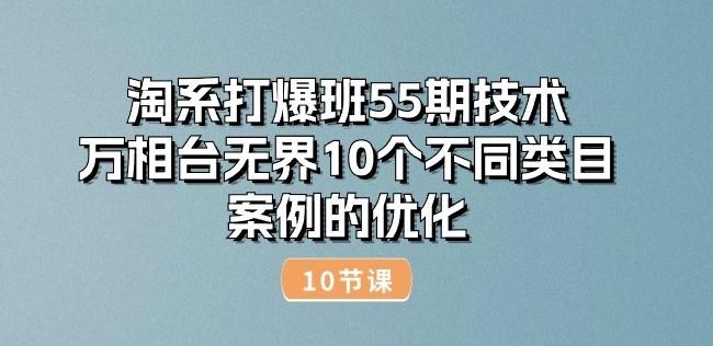 淘系打爆班55期技术：万相台无界10个不同类目案例的优化(10节)-极速轻创