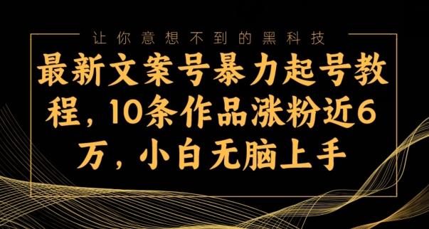 最新文案号暴力起号教程，10条作品涨粉近6万，小白无脑上手-极速轻创