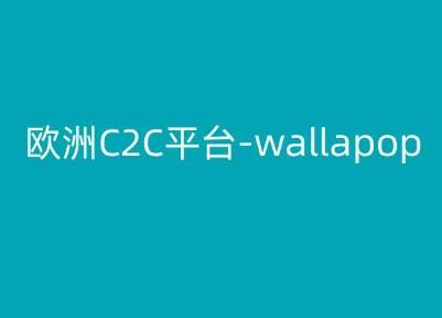 欧洲C2C平台-wallapop-kim跨境电商教程-极速轻创