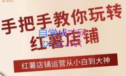 海燕老师·2024手把手教你玩转红薯店铺-极速轻创