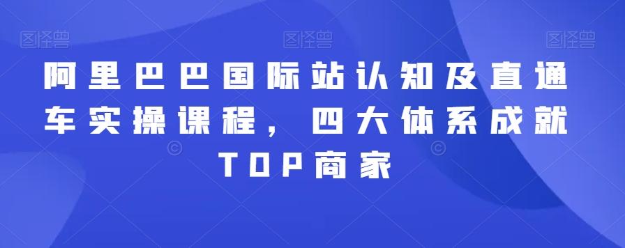 阿里巴巴国际站认知及直通车实操课程，四大体系成就TOP商家-极速轻创