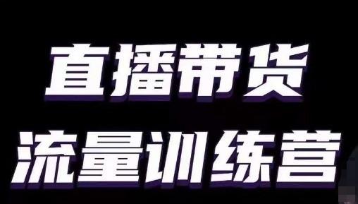 直播带货流量训练营，小白主播必学直播课-极速轻创