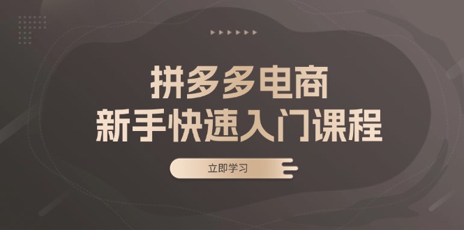 拼多多电商新手快速入门课程：涵盖基础、实战与选款，助力小白轻松上手-极速轻创
