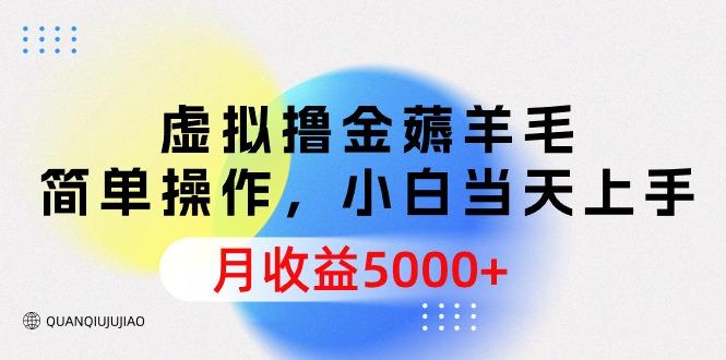 (9864期)虚拟撸金薅羊毛，简单操作，小白当天上手，月收益5000+-极速轻创
