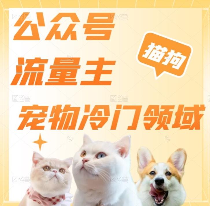 公众号流量主，萌宠冷门领域，单日收益2000+，简单暴力掘金，矩阵操作，无限放大收益！-极速轻创