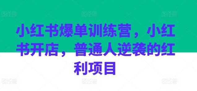 小红书爆单训练营，小红书开店，普通人逆袭的红利项目-极速轻创
