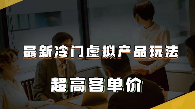 最新冷门虚拟产品玩法，超高客单价，月入2-3万＋【揭秘】-极速轻创