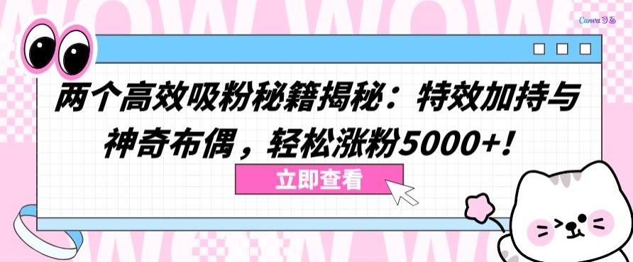 两个高效吸粉秘籍揭秘：特效加持与神奇布偶，轻松涨粉5000+【揭秘】-极速轻创