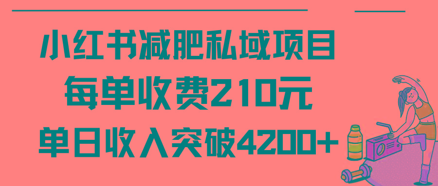 (9466期)小红书减肥私域项目每单收费210元单日成交20单，最高日入4200+-极速轻创