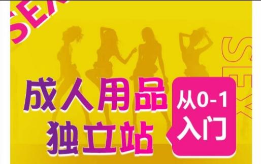 成人用品独立站从0-1入门，成品独立站运营全流程教学，七大好卖成品独立站推荐-极速轻创