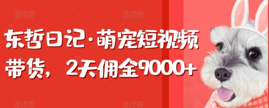 东哲日记·萌宠短视频带货，2天佣金9000+-极速轻创