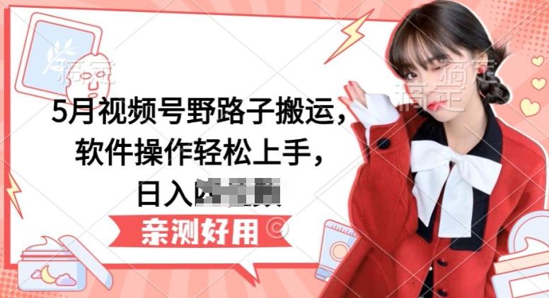 5月视频号野路子搬运，软件操作轻松上手，日入三位数【揭秘】-极速轻创