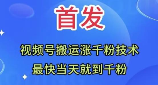 全网首发：视频号无脑搬运涨千粉技术，最快当天到千粉【揭秘】-极速轻创