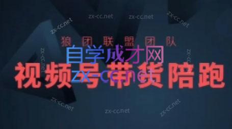 狼团联盟·2024视频号带货-极速轻创