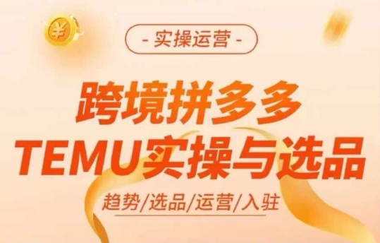 跨境拼多多TEMU实操与选品，多多temu跨境选品运营实操-极速轻创