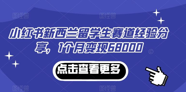 小红书新西兰留学生赛道经验分享，1个月变现68000【揭秘】-极速轻创