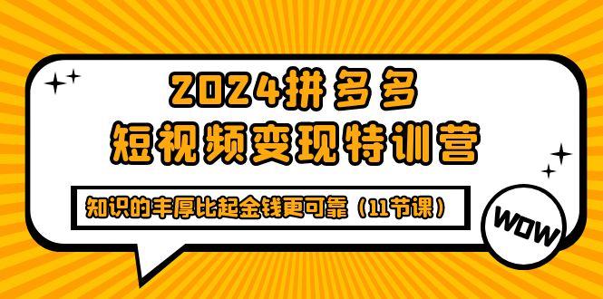 (9817期)2024拼多多短视频变现特训营，知识的丰厚比起金钱更可靠(11节课)-极速轻创