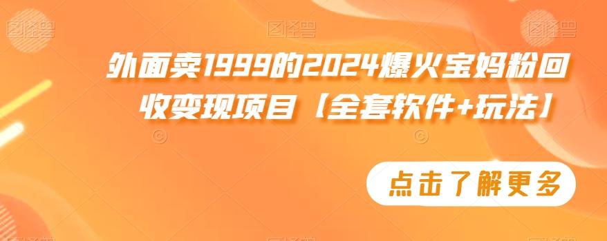 外面卖1999的2024爆火宝妈粉回收变现项目【全套软件+玩法】【揭秘】-极速轻创