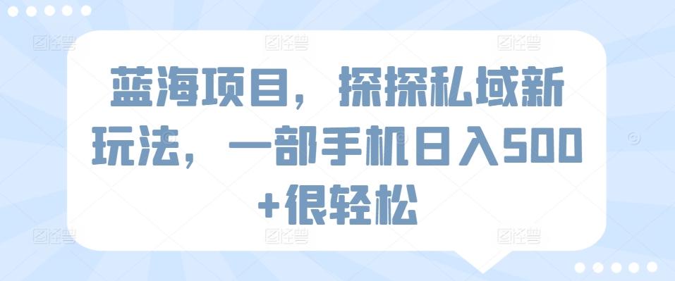 蓝海项目，探探私域新玩法，一部手机日入500+很轻松【揭秘】-极速轻创