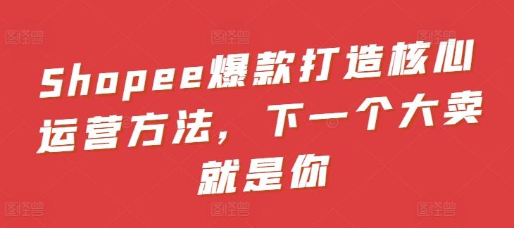 Shopee爆款打造核心运营方法，下一个大卖就是你-极速轻创