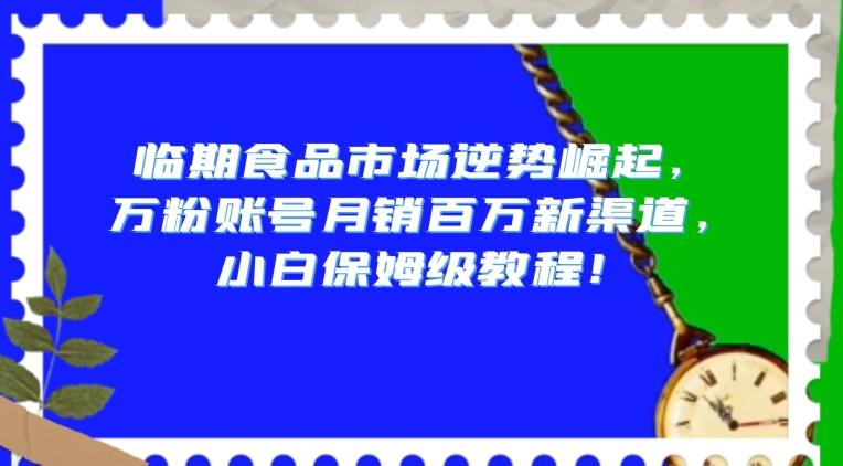 临期食品市场逆势崛起，万粉账号月销百万新渠道，小白保姆级教程【揭秘】-极速轻创