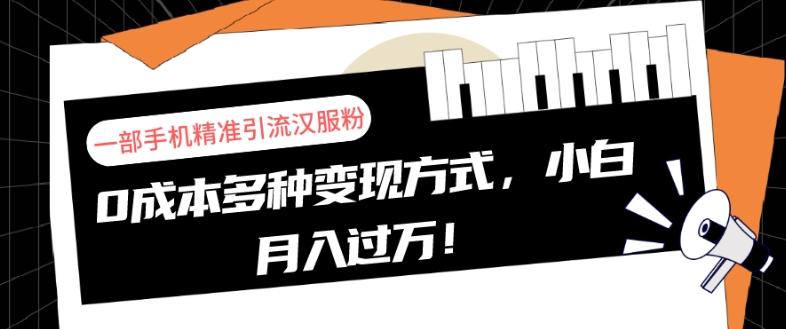 一部手机精准引流汉服粉，0成本多种变现方式，小白月入过万！-极速轻创