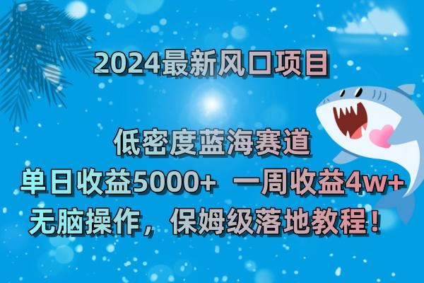 (8545期)2024最新风口项目 低密度蓝海赛道，日收益5000+周收益4w+ 无脑操作，保…-极速轻创